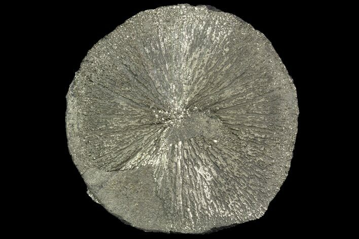 Beautiful Pyrite Sun - Sparta, Illinois #89707
